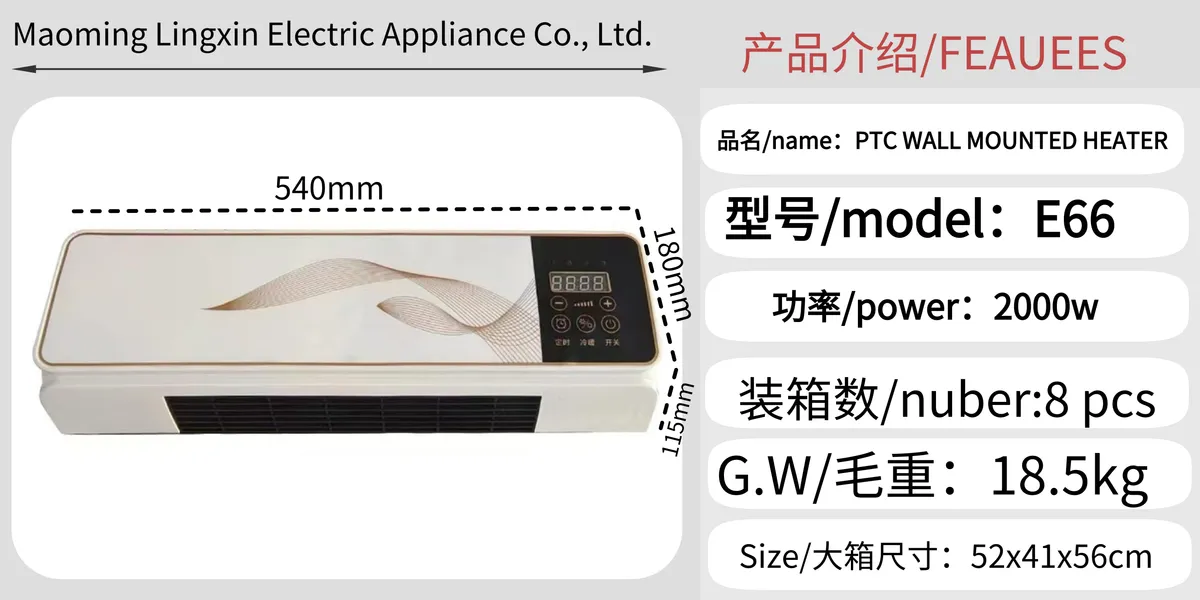 E66 PTC Wall-Mounted Fan Heater